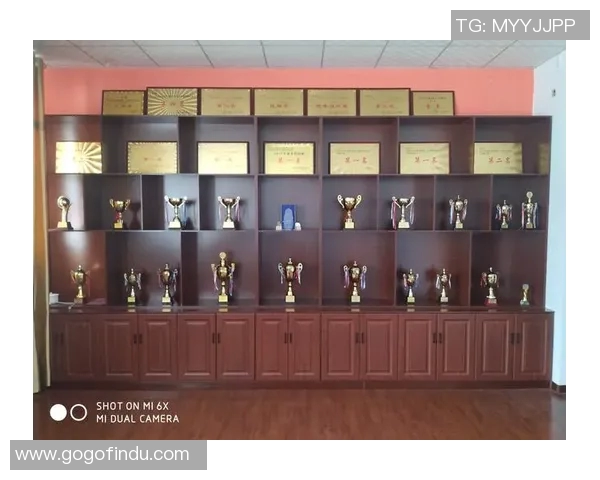 上海排球队逆袭之旅揭秘努力与坚持铸就辉煌成就