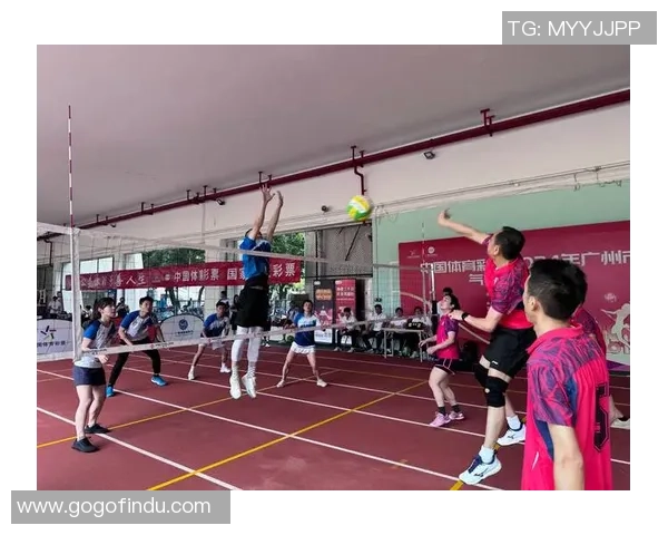 广州排球队默契配合探讨与战术分析全方位解读排球竞技魅力