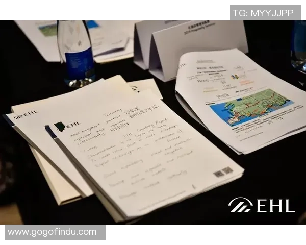 杭州羽毛球队在洲际杯中的蜕变与新篇章探索之旅 杭州羽毛球队在洲际杯中的蜕变与新篇章探索之旅