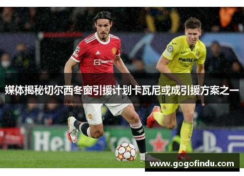 媒体揭秘切尔西冬窗引援计划卡瓦尼或成引援方案之一