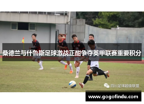 桑德兰与什鲁斯足球激战正酣争夺英甲联赛重要积分