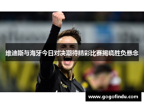 维迪斯与海牙今日对决期待精彩比赛揭晓胜负悬念
