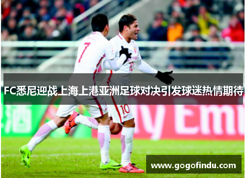 FC悉尼迎战上海上港亚洲足球对决引发球迷热情期待